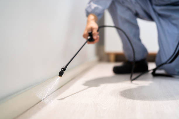 Licensed Pest Control service in Berry Creek, CA - Show Me Pest Control