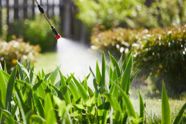 24/7 Emergency Mosquito Control experts in Berry Creek, CA