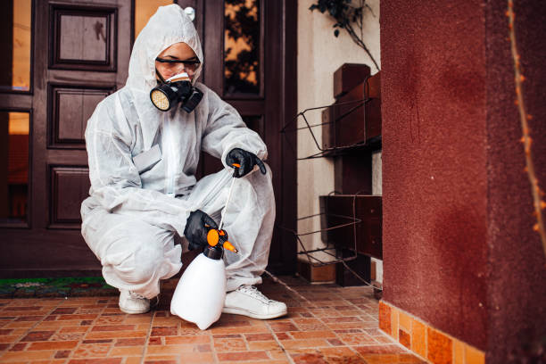 Reliable Mosquito Control contractor in Berry Creek, CA by Show Me Pest Control
